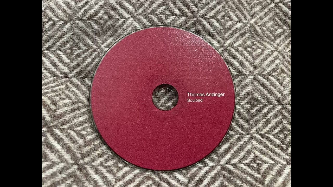 Thomas Anzinger - And You Come Down