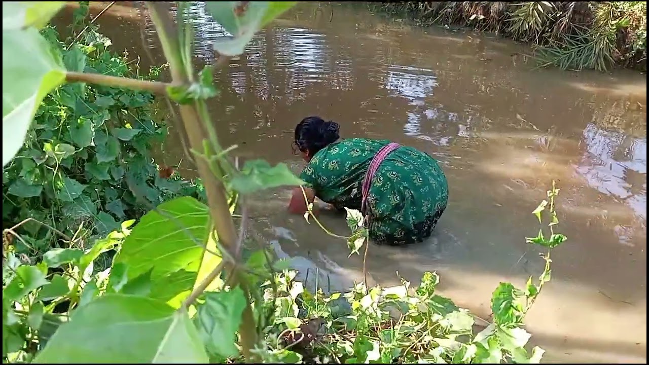 মা মাছ ধরছে 🫂🤞।