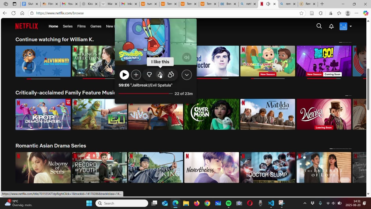 Netflix review - What does Netflix look like?