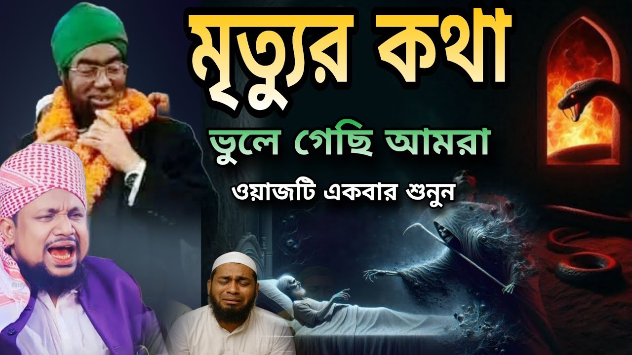 জোবায়ের আহমেদ আনসারীর ছাত্র নুরুল আমিন আল ফরিদী বানিয়াচং বাসীকে পাগল করলেন