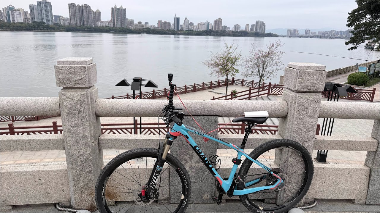 連日陰雨終於收場，天空一放晴，騎車出門溜，街市慢悠悠，人潮不熱鬧，店鋪也顯得“淡定”。倒是春花最懂熱鬧——黃的亮、紅的燃、紫的深、粉的柔，一路燦爛一路追。人間煙火稍微清淡些，春天的顏色卻早已滿街開場。