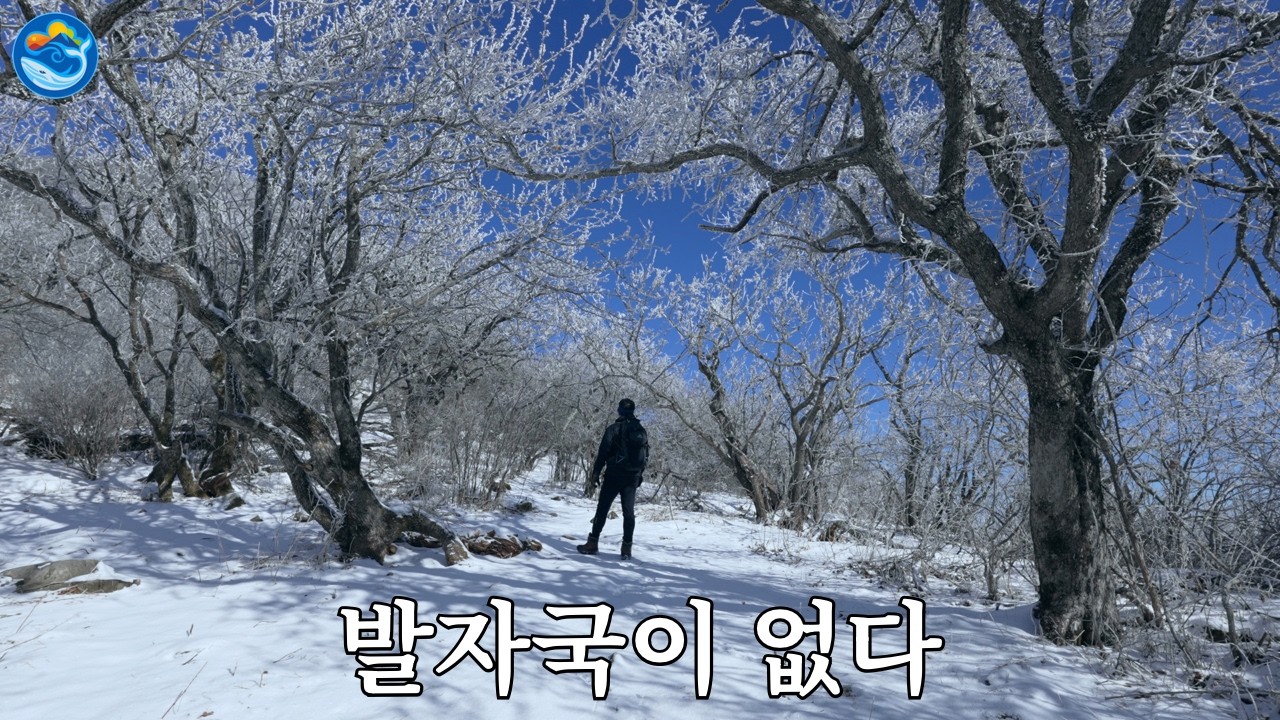발자국 하나 없는 길을 따라서 | 함백산에서 검룡소까지 종주 산행