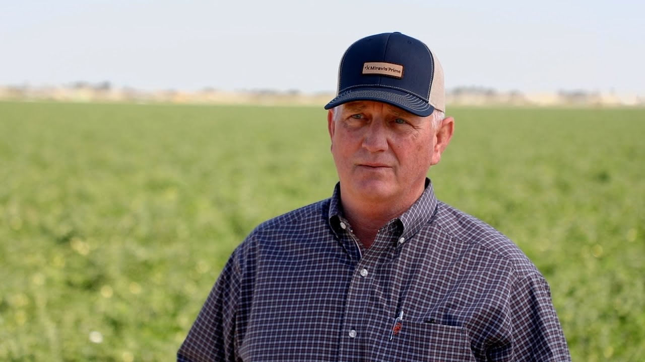 The Ultimate Solution for Tomato Late Blight Management