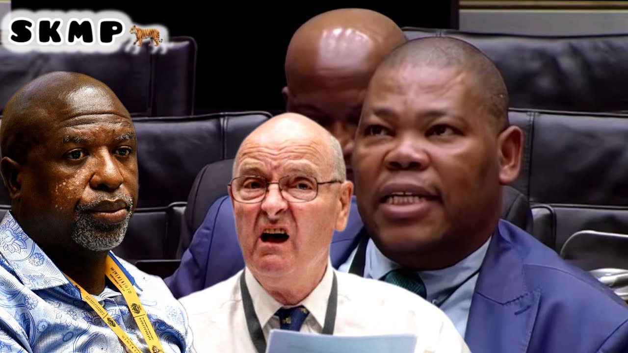 WATCH | Mashuga tells committee O’Sullivan & Trent ran decisions at NPA, IPID
