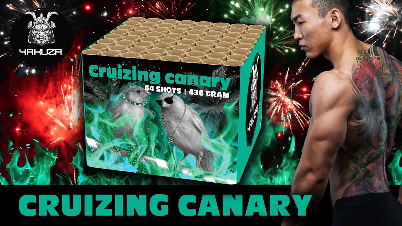 Cruizing Canary - 03261  |  CAT F2  |  Official video