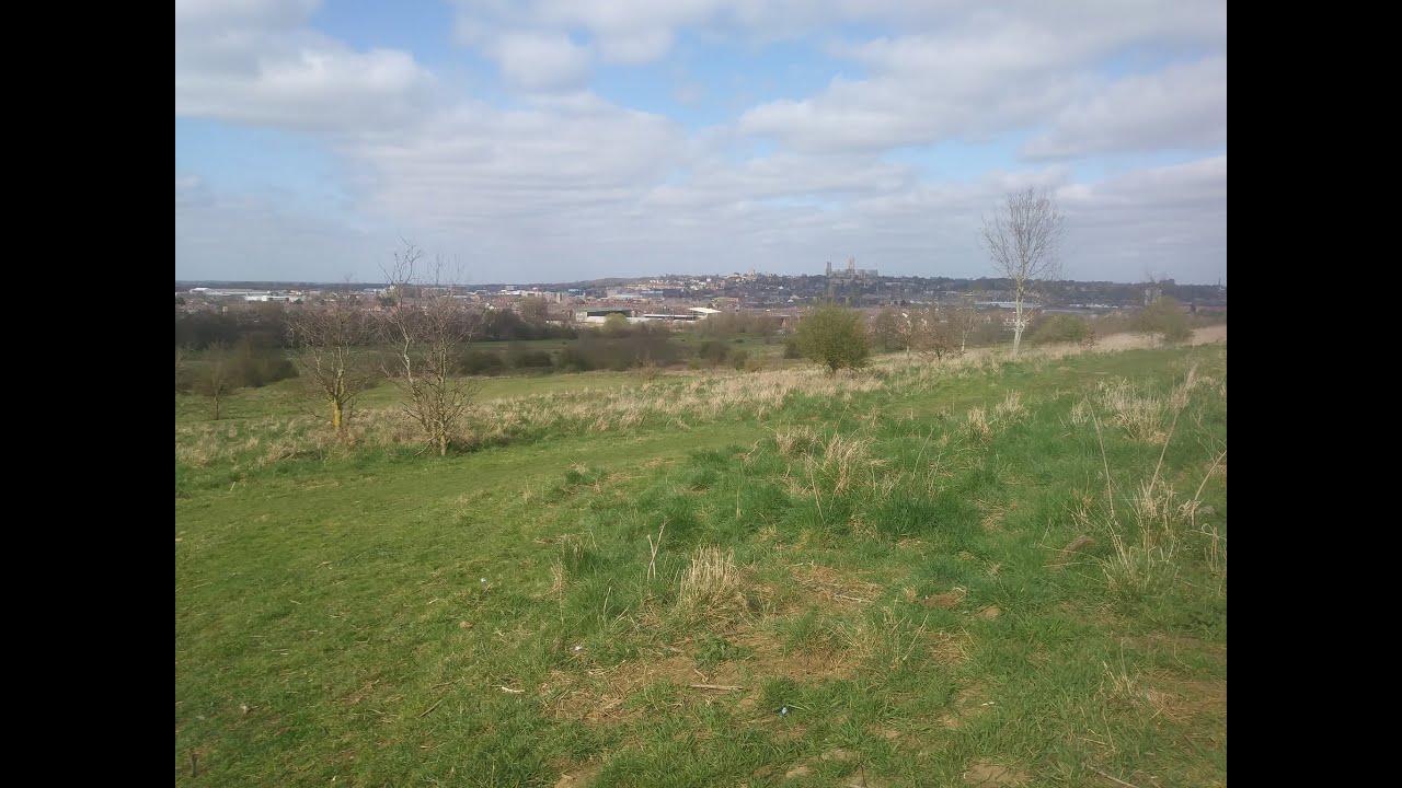 The history of the South Common, Lincoln