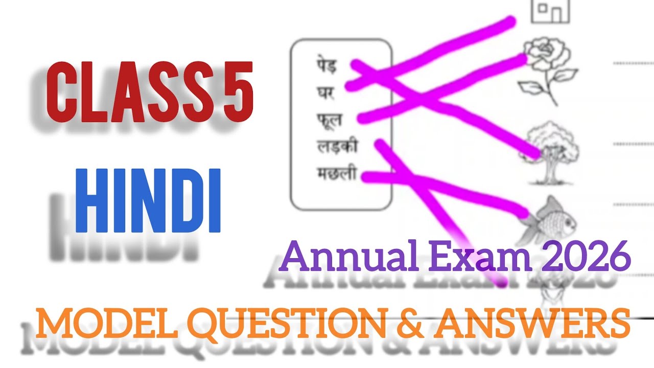 Class 5 Hindi | Annual exam 2026 | Important questions and answers