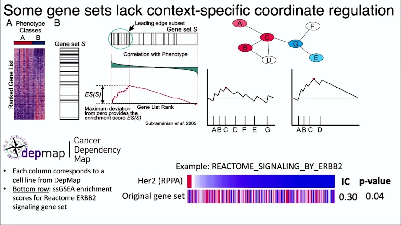 Data Driven Refinement of Gene Signatures for Enrichment Analysis & Cell State Characterization