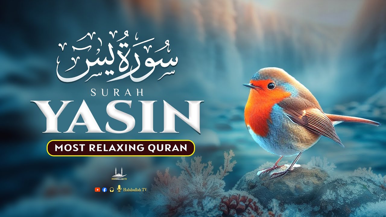 Surah Yasin سورة يس | A Relaxing Quran Recitation For Relax Your Mind | Habibullah TV