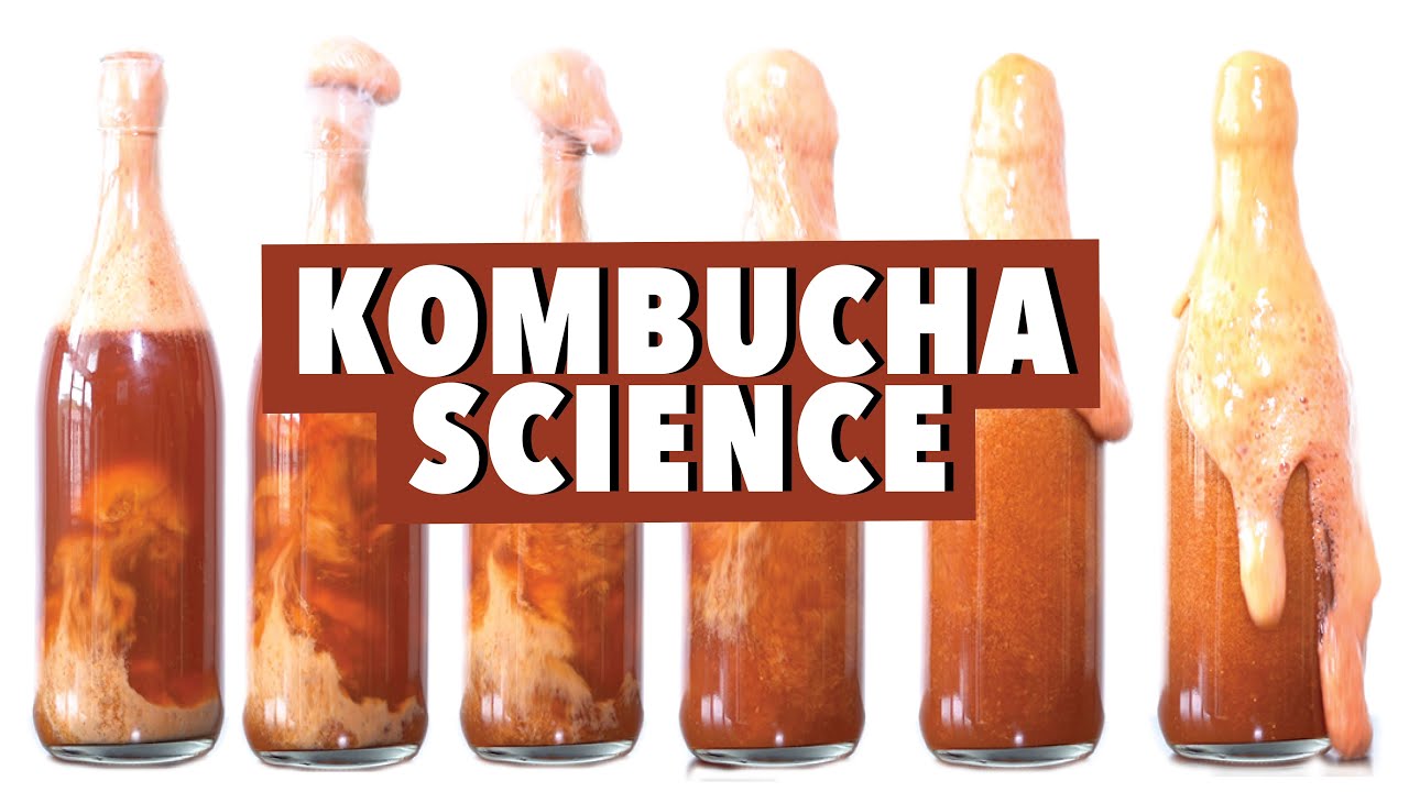 What is kombucha, anyway?