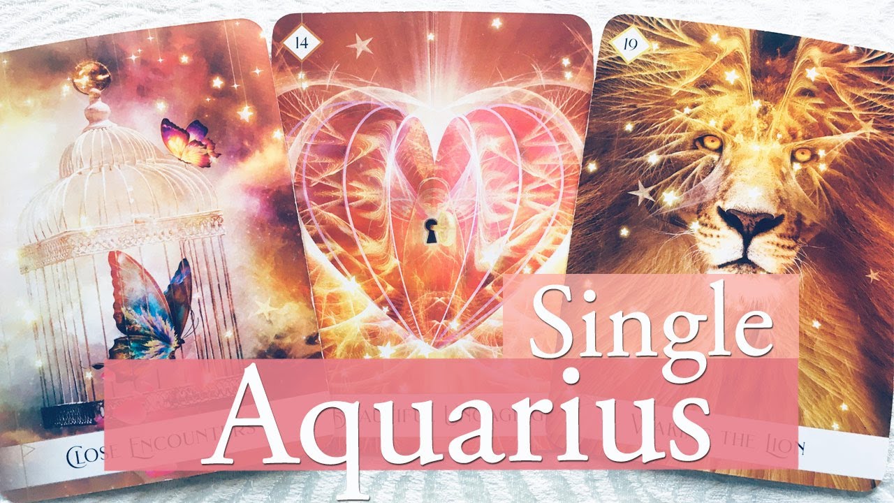 Aquarius the person you're seeking is seeking someone just like you. A new opportunity for love