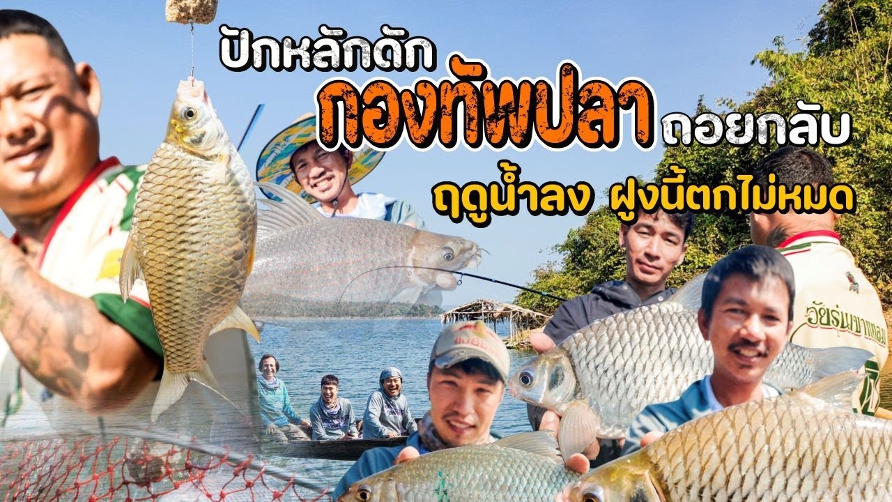 ปักหลักดัก กองทัพปลา ถอบกลับ ฤดูน้ำลง ฝูงนี้ตกไม่หมด