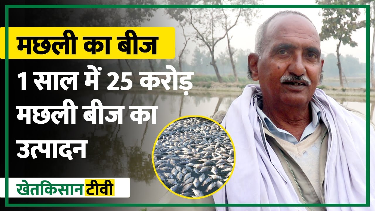 Fish Seed Hatchery Process | कैसे बनता है मछली का बीज? | Fish Seed Farming | Krishi Earth