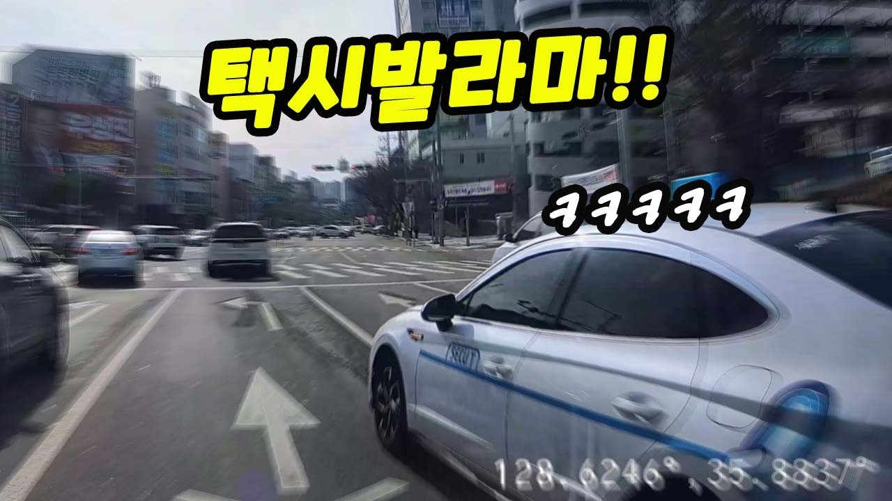 [블랙박스]바로 이 맛 아닙니까! 개 같은 택시｜2026블박사고영상