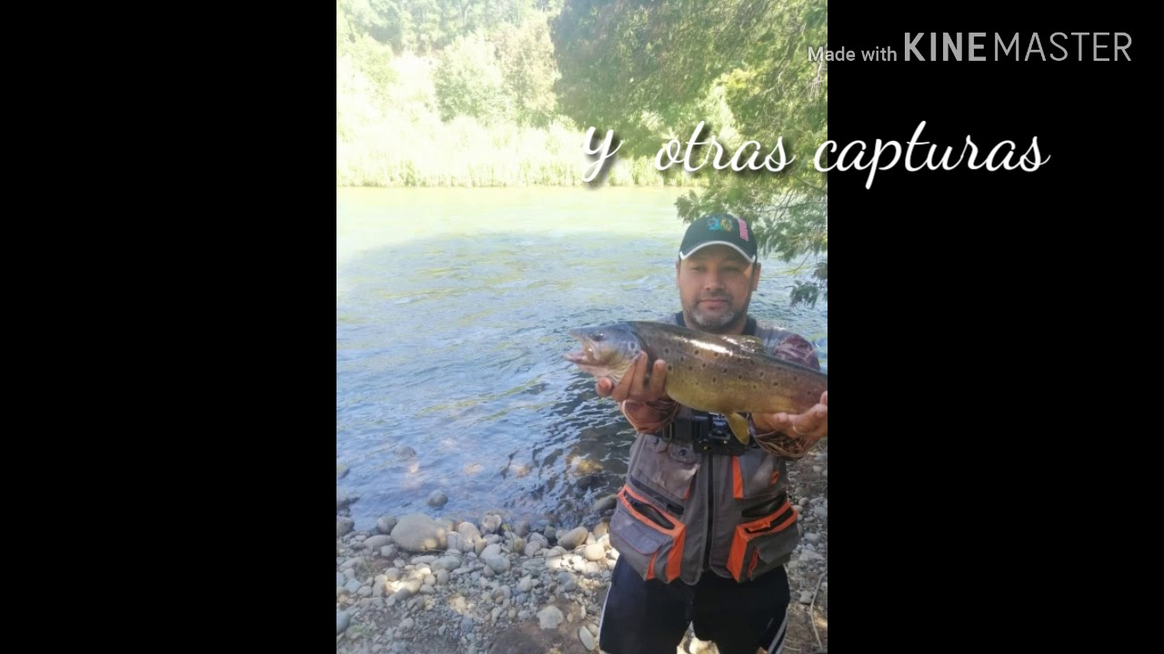 Inicio de temporada de truchas 2019/2020
