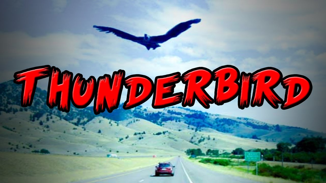 Cryptids - Thunderbird