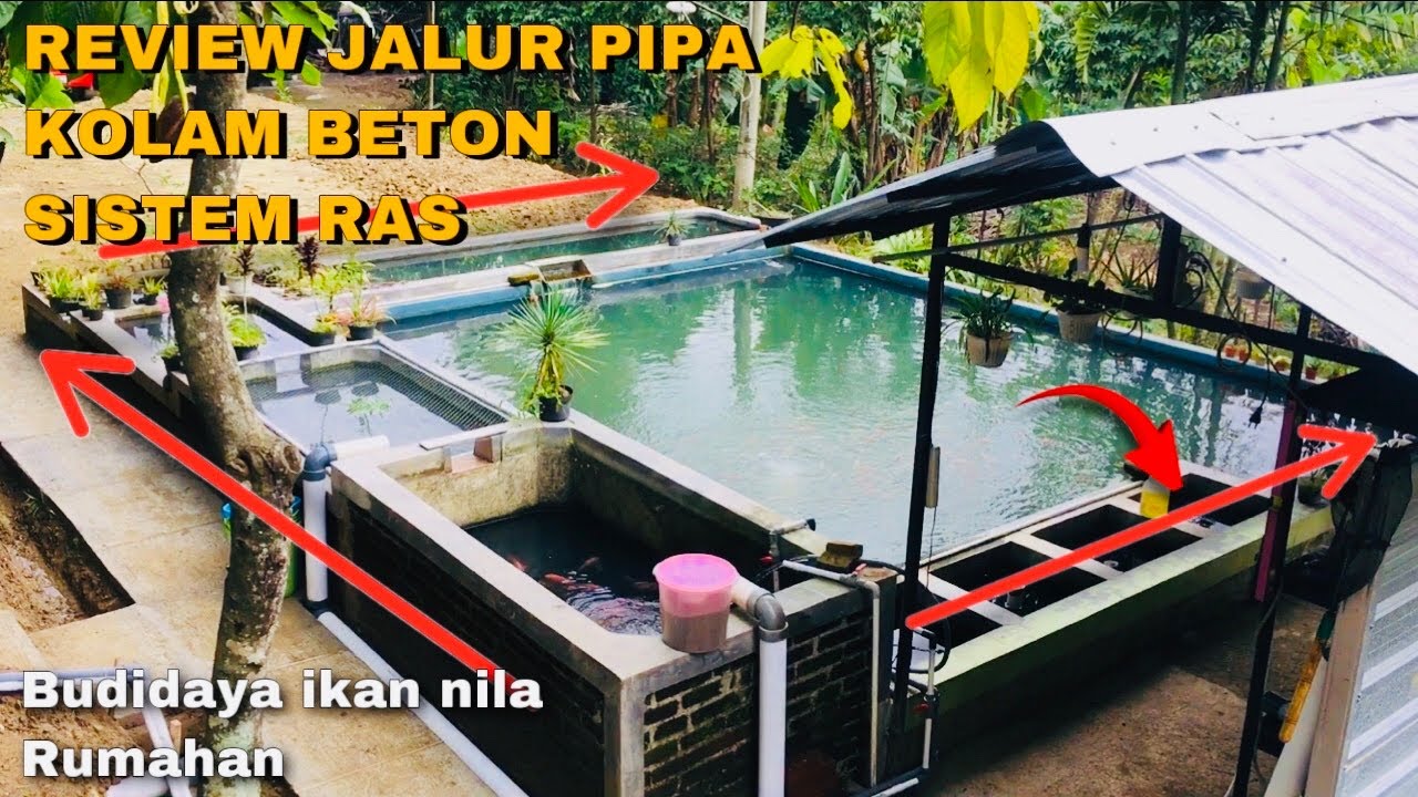 REVIEW FUNGSI DAN JALUR PIPA KOLAM BETON SISTEM RAS - BUDIDAYA IKAN NILA RUMAHAN BENI ERWAN