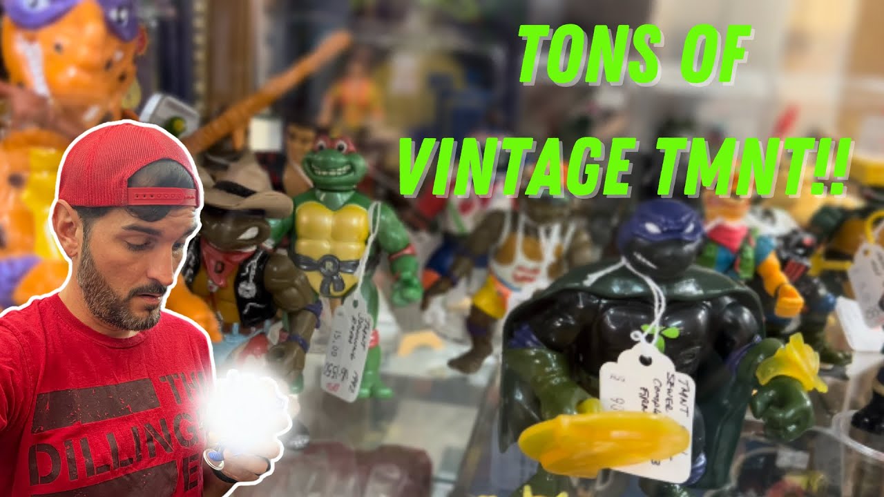 Finding HIGH END TMNT at this Antique Mall!  Toy Hunting