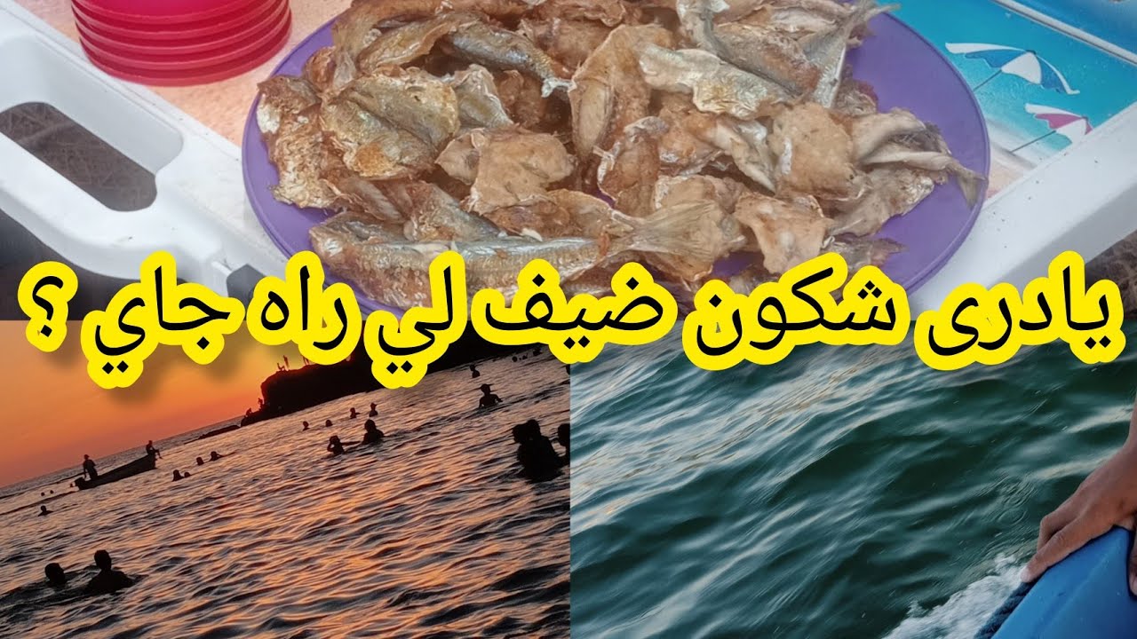 يادرى شكون ضيف لي قرعتله وريتلكم بحر نجمةوبحر تارقة#الجزائر #اكسبلور#طبخ وروتين أم زهرة