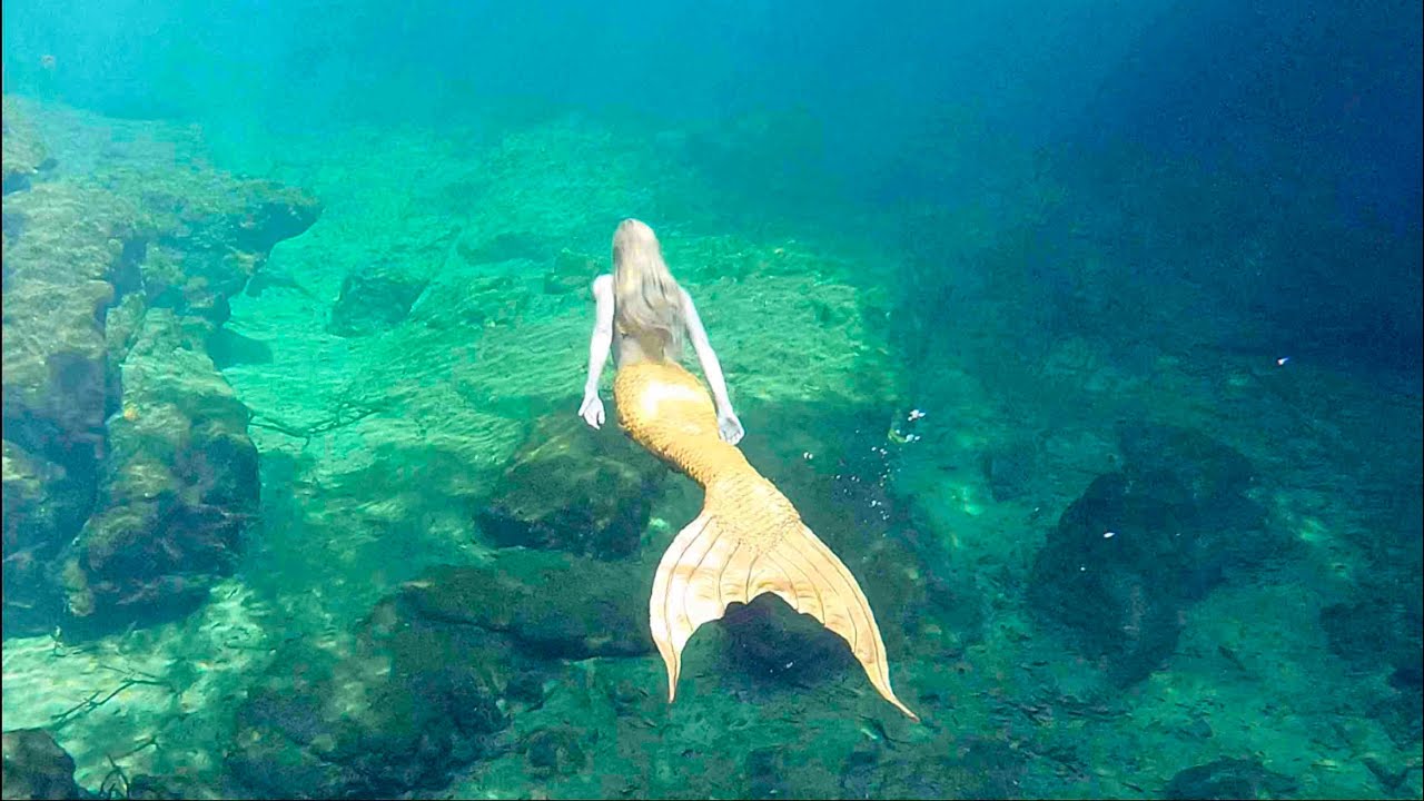 Une sirène s'éveille au printemps