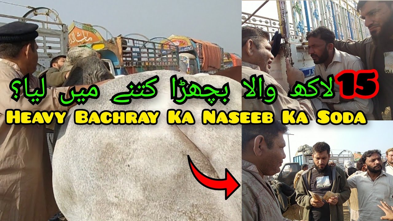 15 Lakh Walay Bachray Ka Soda Hogaya Hashim Se || Karachi To Multan Vlogs Epi - 3 || Bakra Eid 2023