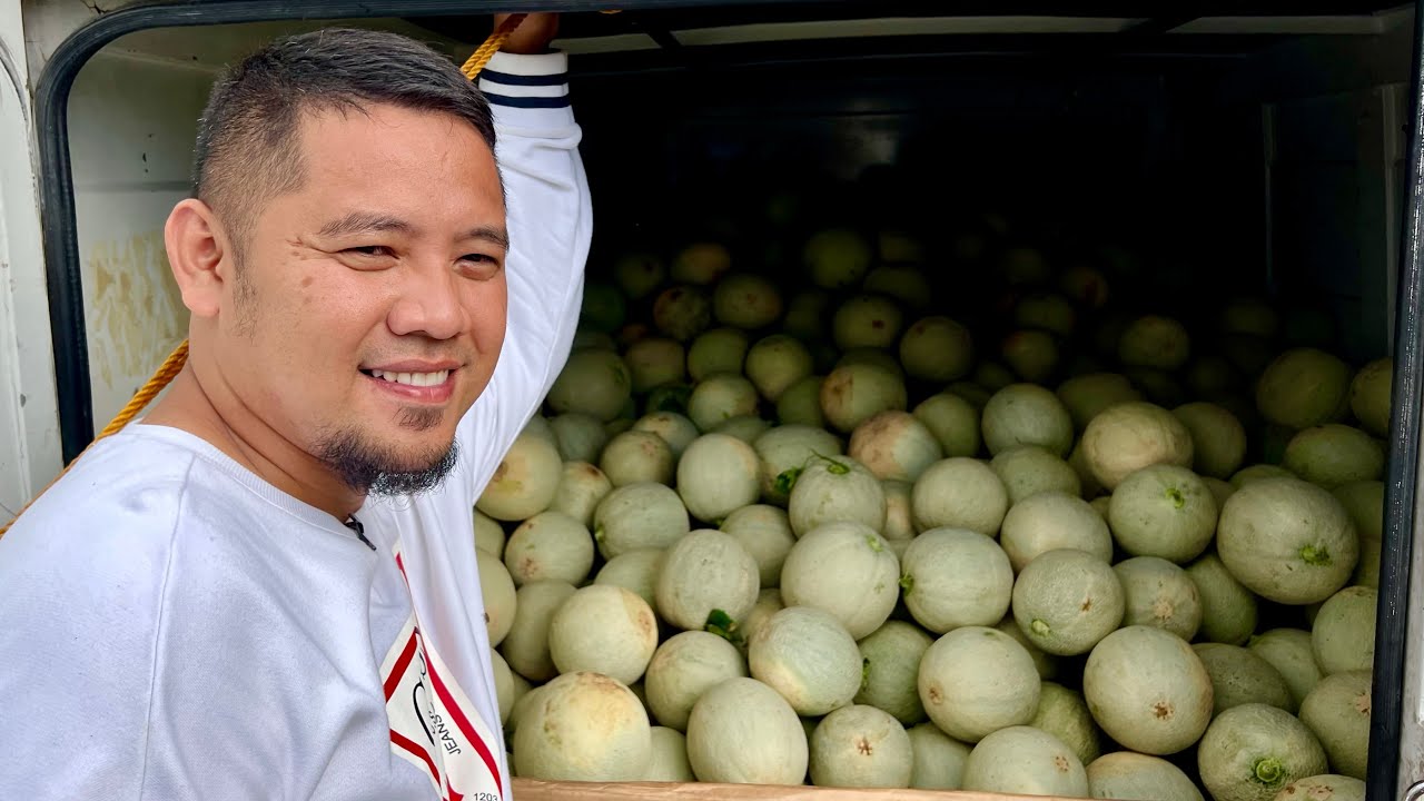 Kumita ng Malaki sa Pakwan, Melon, Honeydew: Alamin ang Tamang Tinor sa Prutas