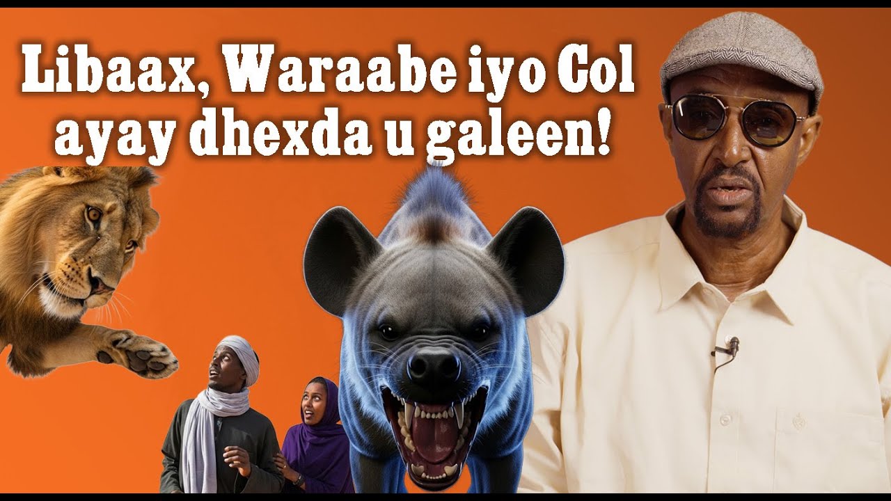 Libaax, Waraabe iyo Col ayay Dhexda u galeen |  Sheeko Macallin Bashiir