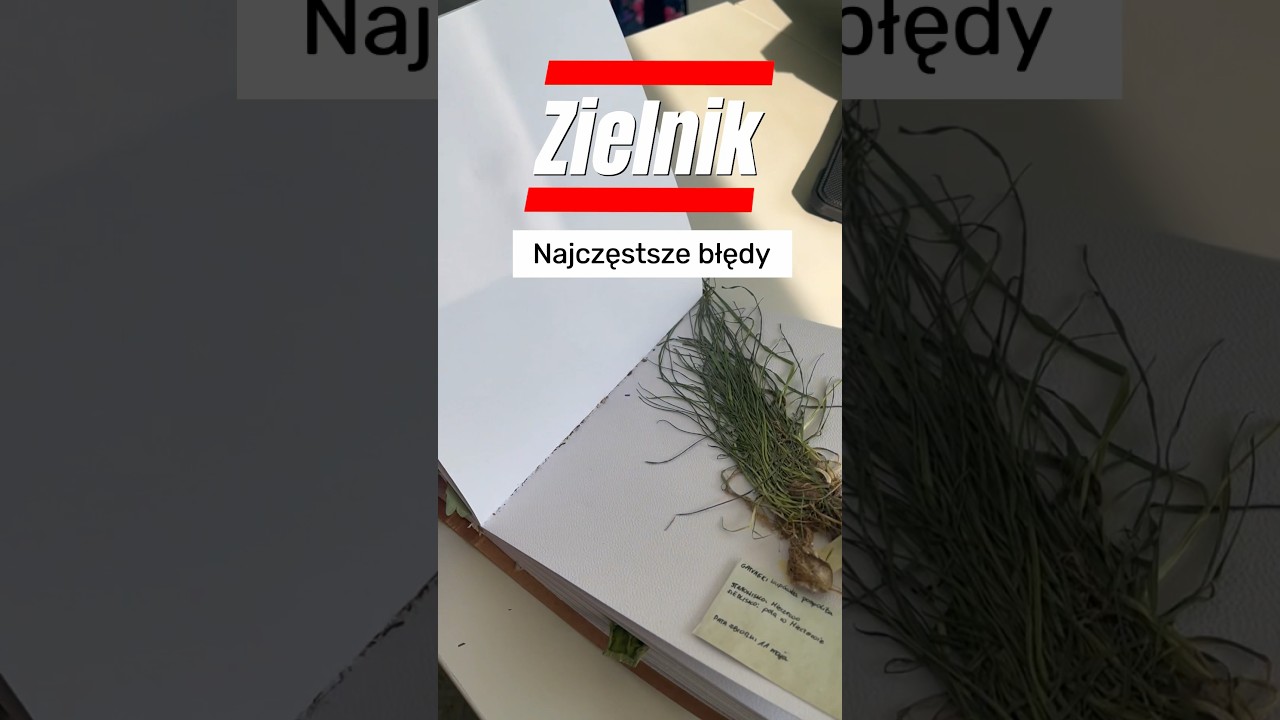 ZIELNIK najczęstsze błędy 