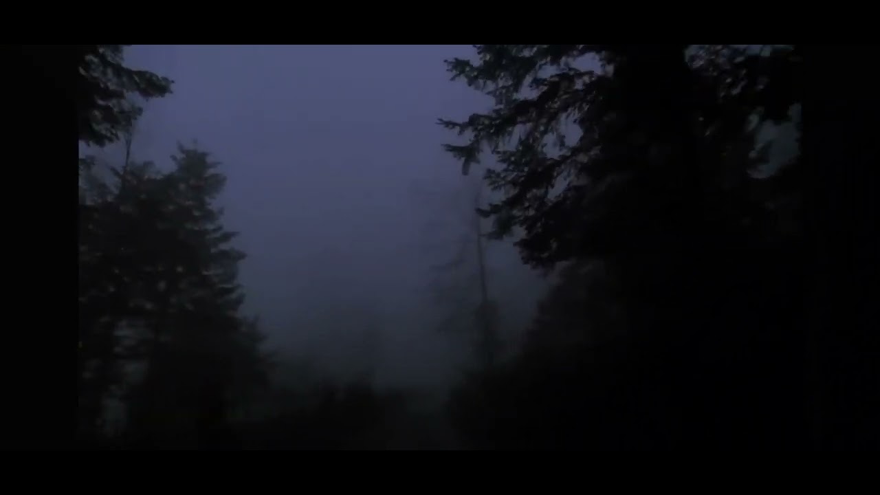 Scarier Bigfoot story then the first 