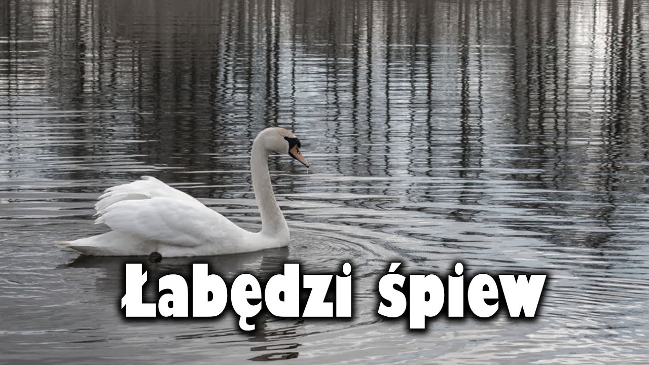 Łabędzi śpiew | Antoni Czechow |Słuchowisko