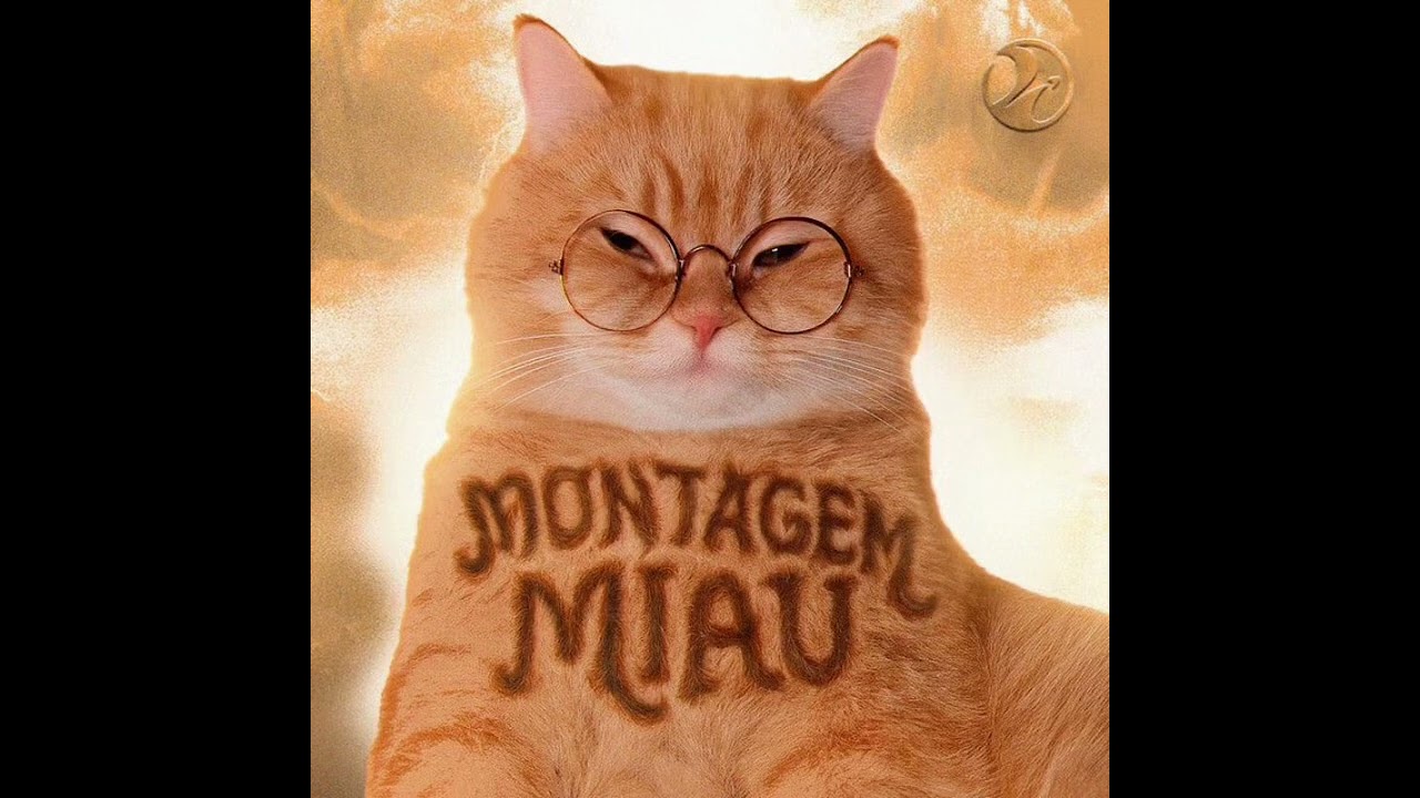 MONTAGEM MIAU 10 MINS