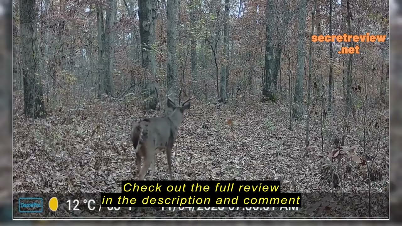 Review of GardePro A3S Trail Camera, 48MP 1296p Game Camera