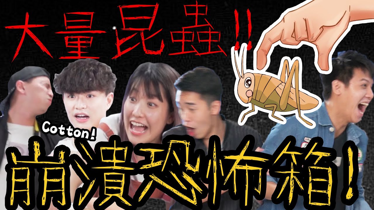 【綜藝】大量昆蟲爬上手？！超崩潰恐怖箱！！｜恐懼鬥箱2 ft. @CottonChan