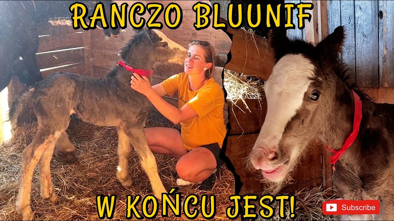 NIESPODZIANKA!