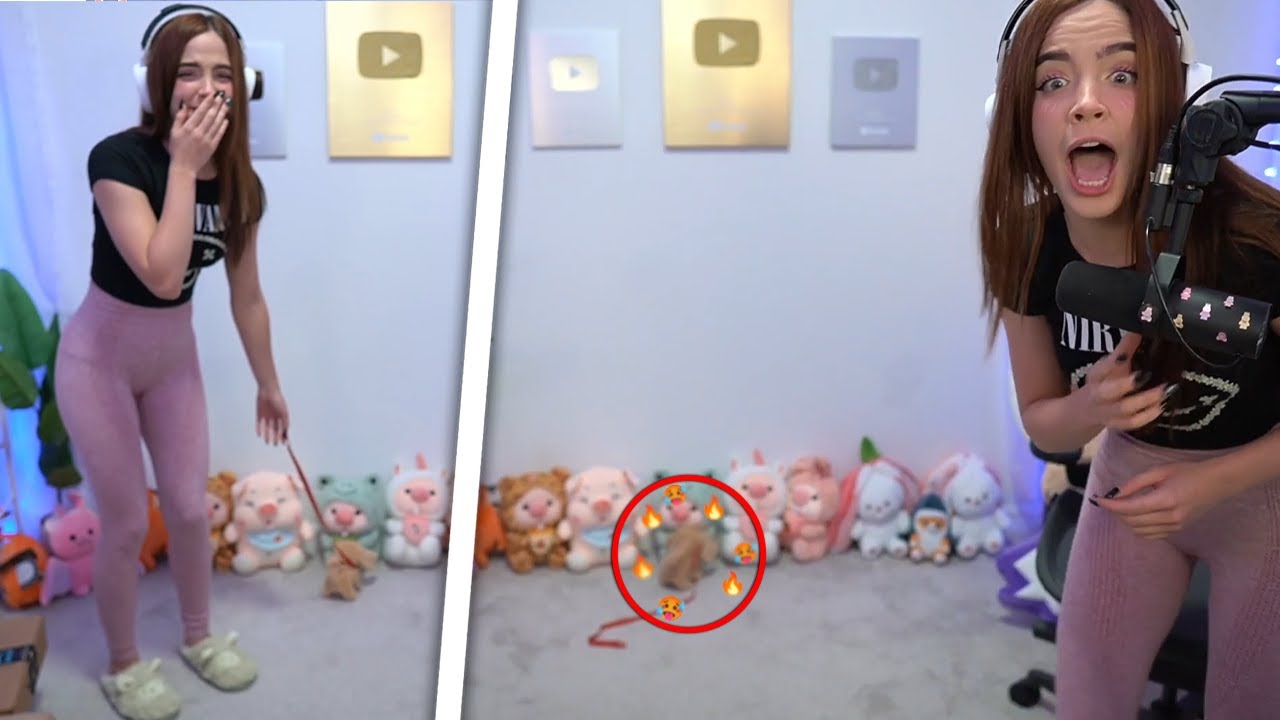 Le dan de REGALO un PERRO C4C*0NDO a Staryuuki 😂🤣