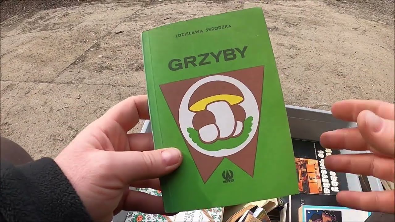 Plenerowy kącik czytelnika 23