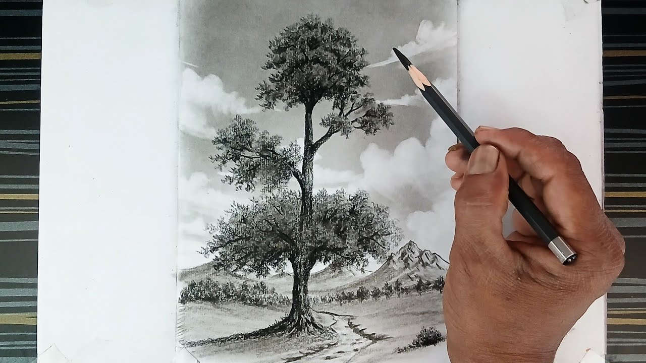 Pencil drawing of tree landscape by pencil with easy ways.