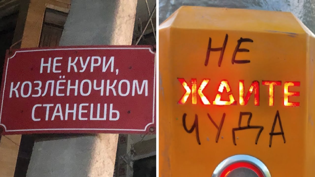 Фото подписчиков Фактории (часть 66)