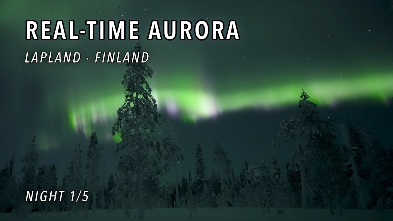 Real-Time Aurora Racing Above Snowy Trees in Äkäslompolo, Lapland - 4K