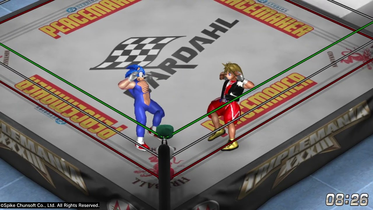 FIRE PRO WRESTLING WORLD: Sonic vs. Sora