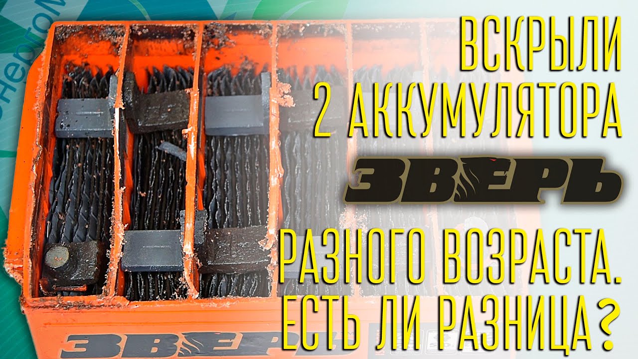 Вскрыли два аккумулятора ЗВЕРЬ  разного возраста.  В чем разница?