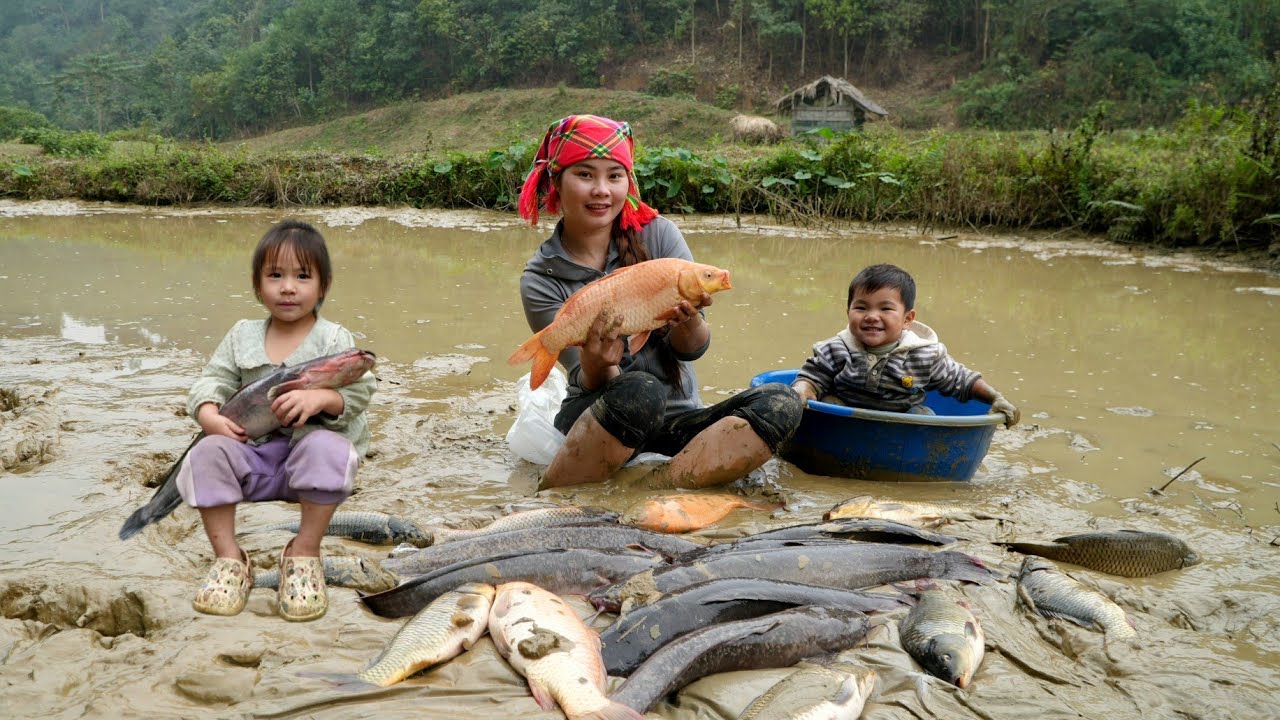 Catching giant fish from the pond to sell - harvesting duck eggs for preservation