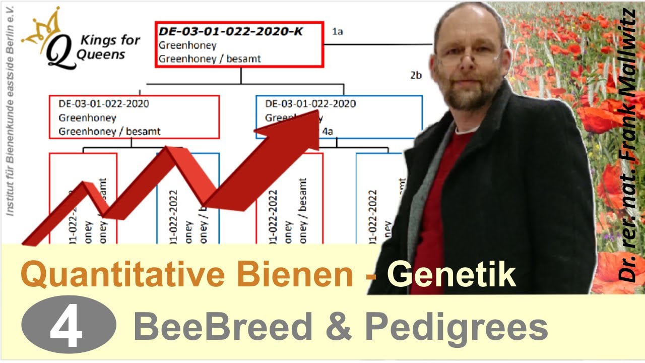 Pedigree und BeeBreed der Stammbaum von Bienenköniginnen in der Bienenzucht