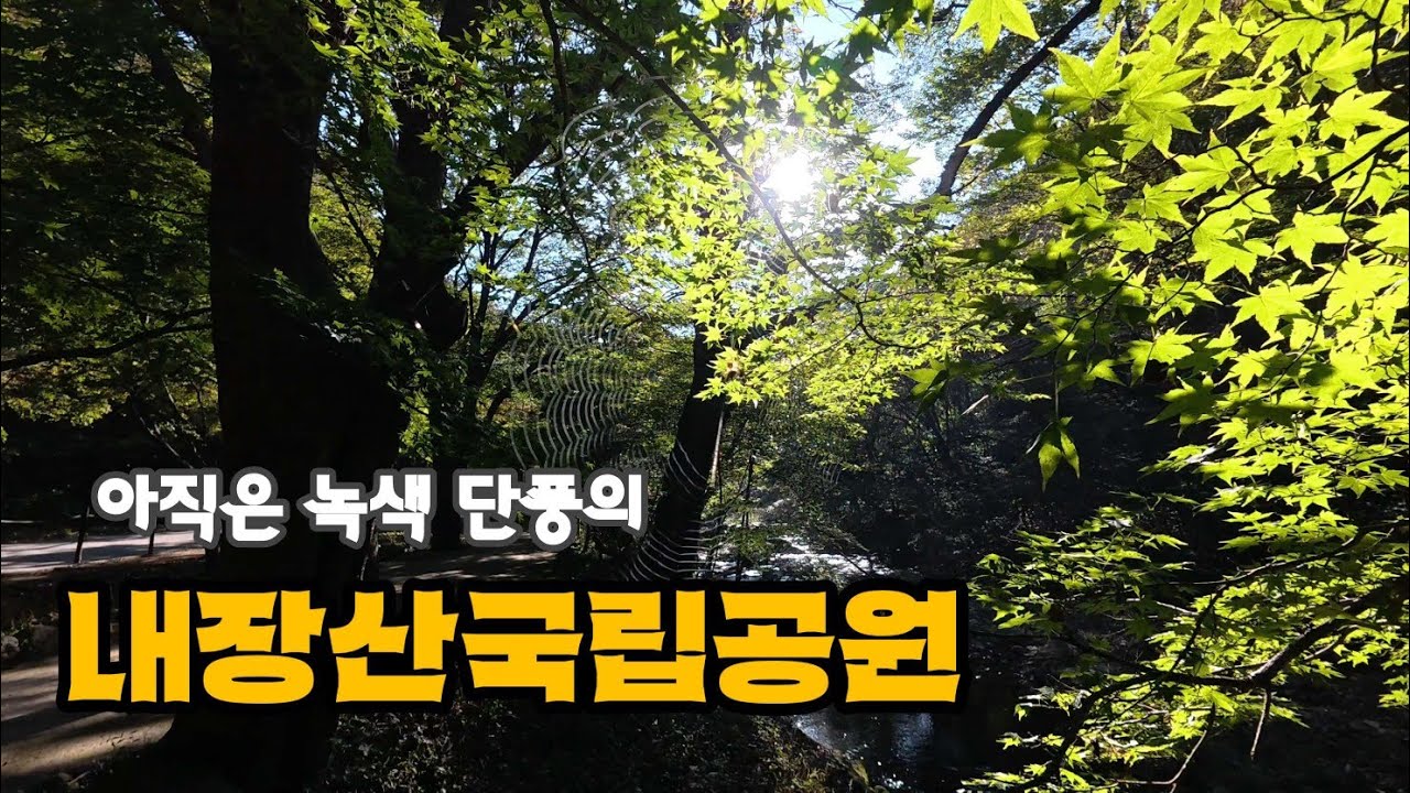내장산국립공원 단풍