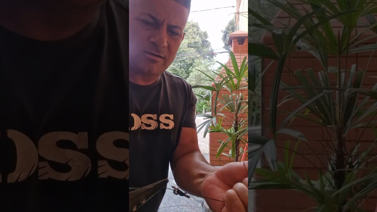 Chicote pra bicuda,prejereba, espada, cação#bora pescar #