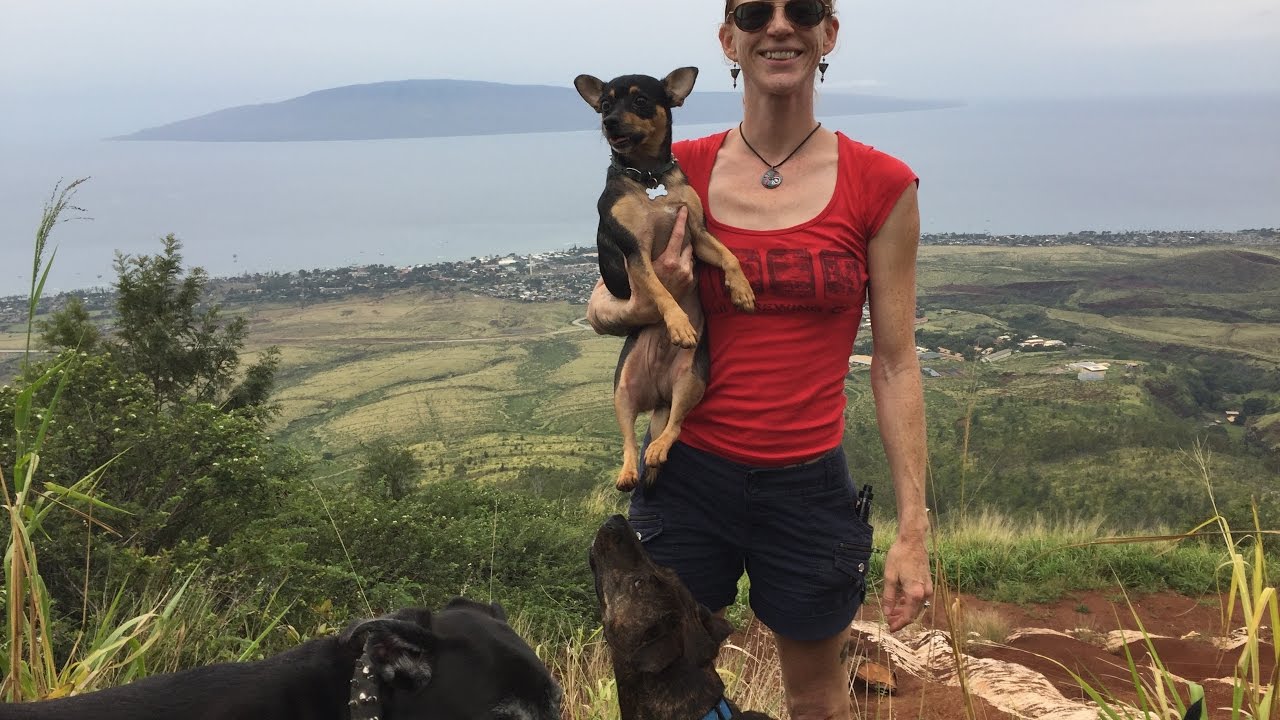 Hiking the Lahaina L:  Adventure w/ Such Good Dogs.