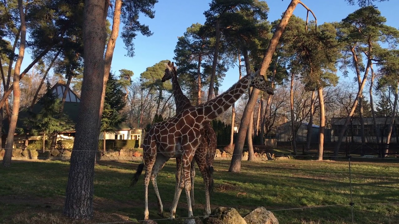 ZOO Debrecen