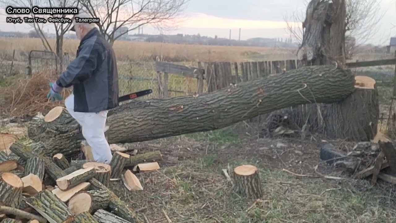 Новая цепь и шина. Откровение о дереве у потока вод.  Священник Родион 
