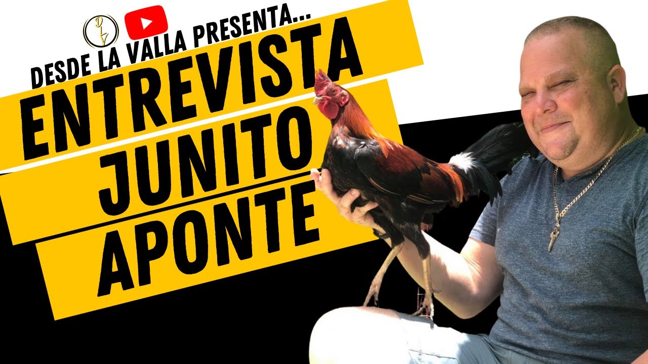 ENTREVISTA A JUNITO APONTE