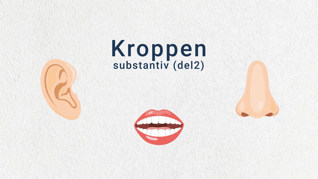 Tema: Kroppen. Substantiv (Del2)